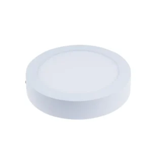 Ceiling Light Fixture LED